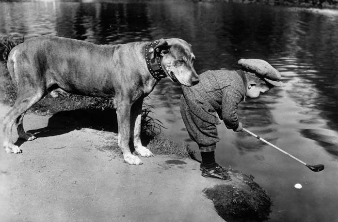Large dog holding a boy’s clothing as he reaches toward water