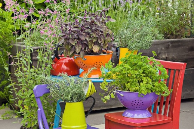 Wooden DIY planter box