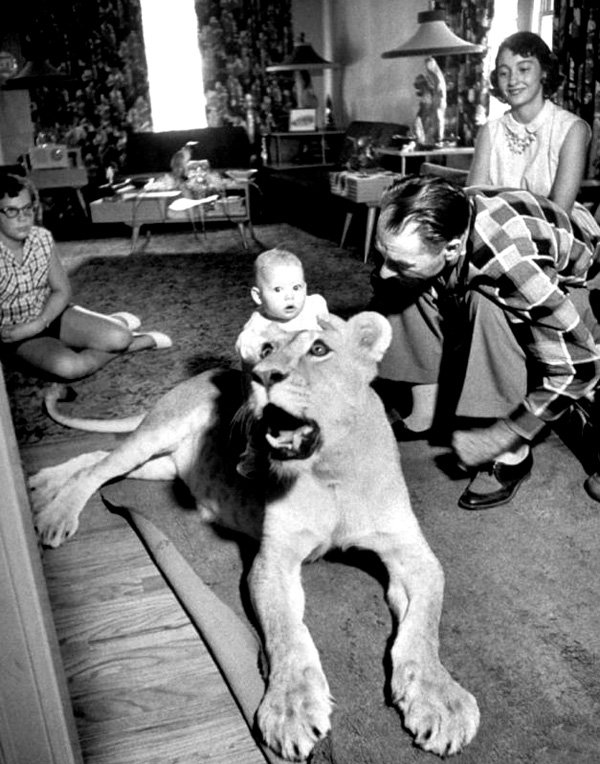 Tall vintage animal photograph