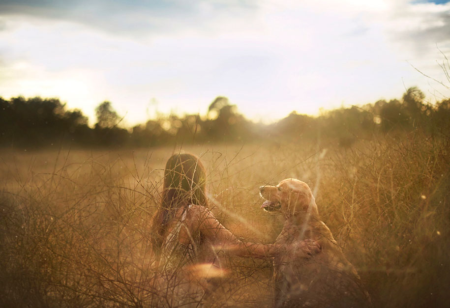golden retriever three Jessica Trinh
