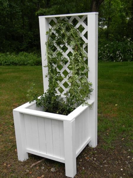 DIY planter box planting