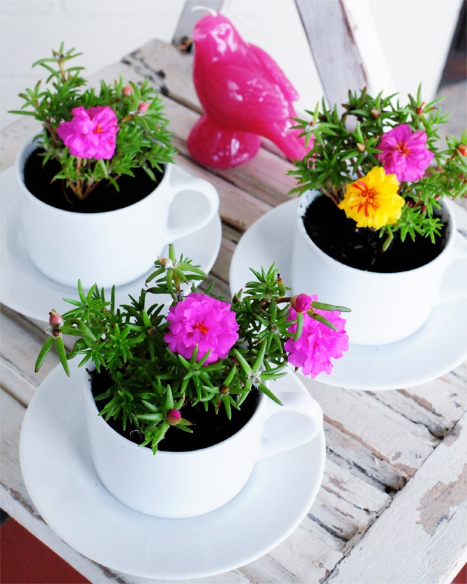 Upcycled DIY planter