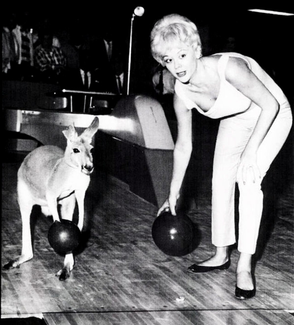 Vintage animal photograph in black and white