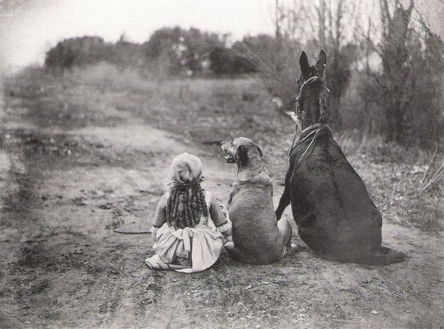 Girl, dog, and horse sitting in a row facing away from the camera