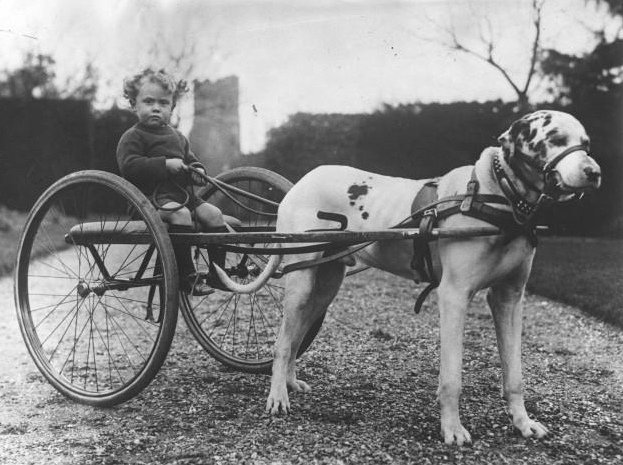 Vintage scene with animals in an unexpected role