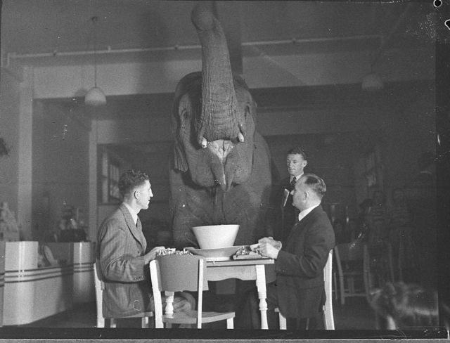 Vintage photograph pairing people and animals in an unusual scene