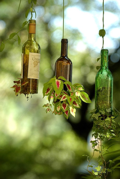 Bottle herb or plant station