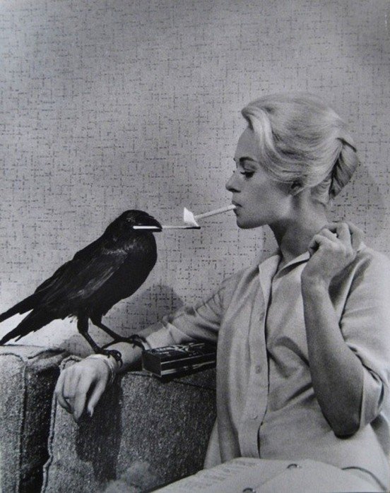 Archival portrait featuring an animal