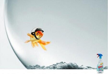 Glass cleaner goldfish motorcycle helmet ad