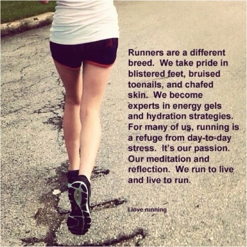 Motivational workout quote poster 4