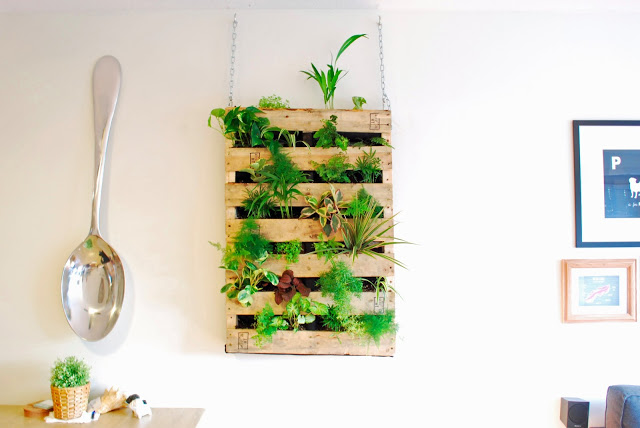 DIY pallet living wall planter