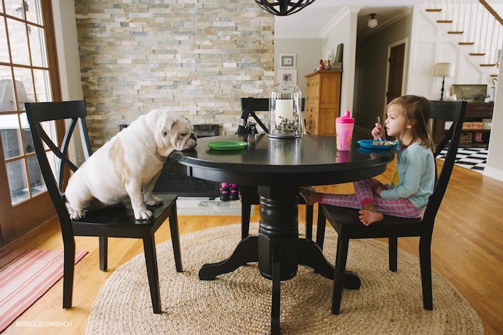 young-girl-bulldog02