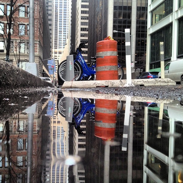 New York puddlegram vantagepointnyc