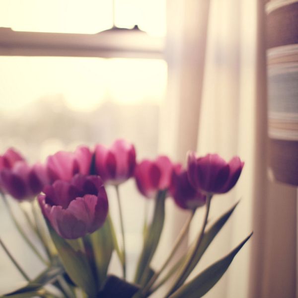 Soft-focus flowers by Liz Rusby