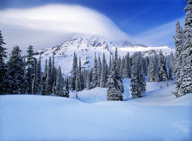 Scenic photograph from David Shield set