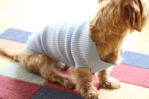 15 sweater
