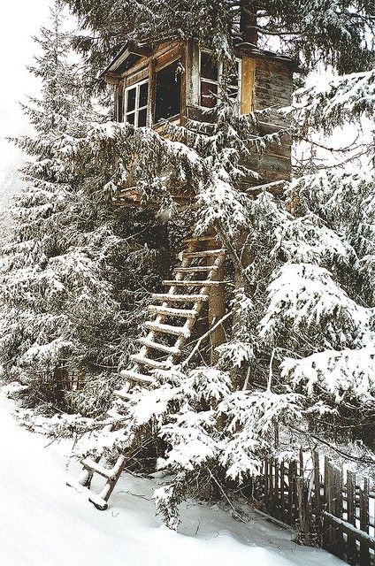 Winter still life of place