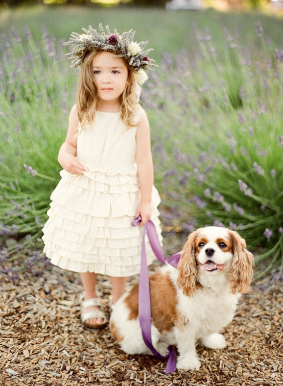Ring bearer look