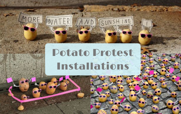 potato protest installations