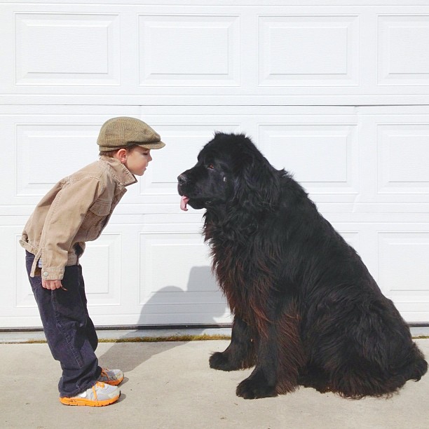 Stasha Becker photo of son and dog