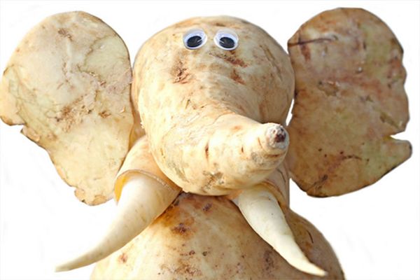Humorous food photo by Vanessa Dualib