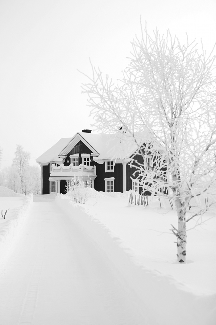 Black and white house in deep snow with a frosted birch