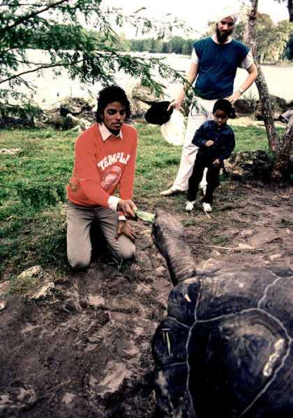 Michael Jackson in a rare photograph