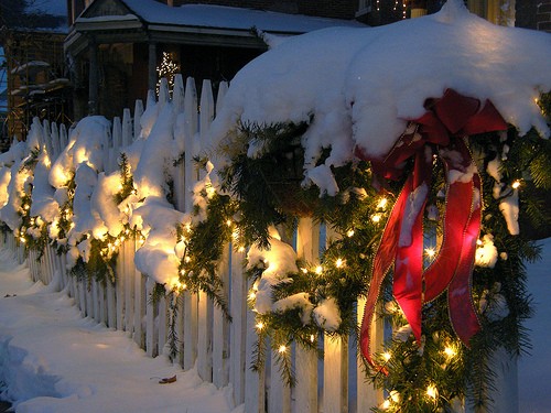 Winter soft light scene