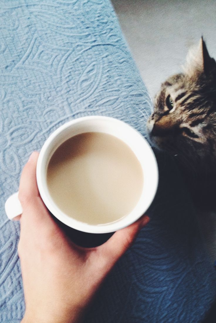 Latte or café coffee moment