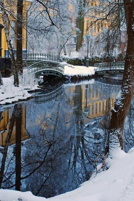 winter wonderland06
