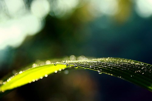 Dreamy bokeh light circles