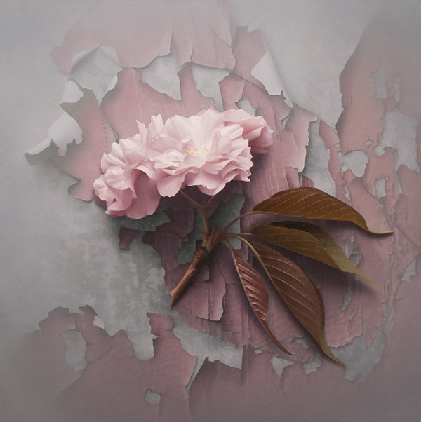 Detailed still life painting by Patrick Kramer