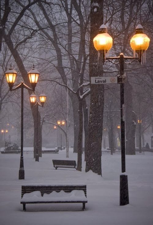 Snow-covered winter view