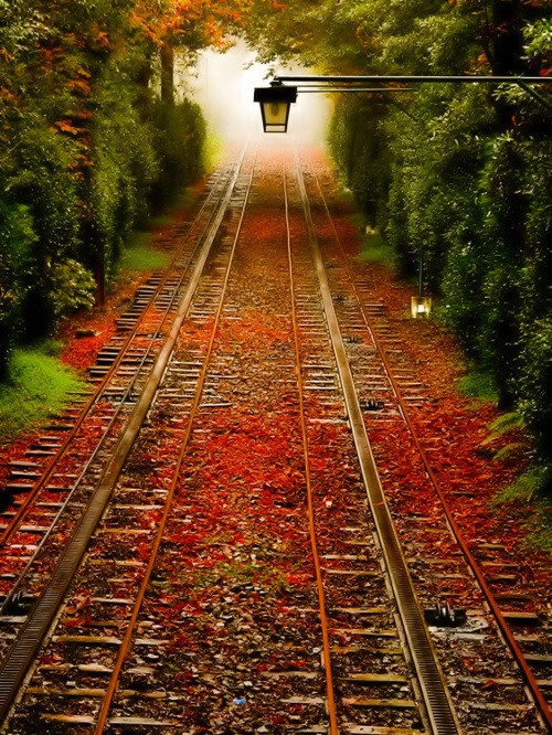 Into the Fog, Scranton, Pennsylvania Into the Fog, Scranton, Pennsylvania