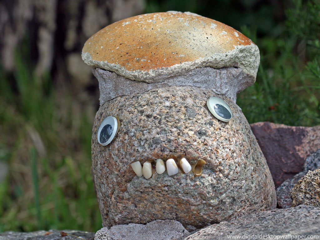 Garden stones in a planted bed