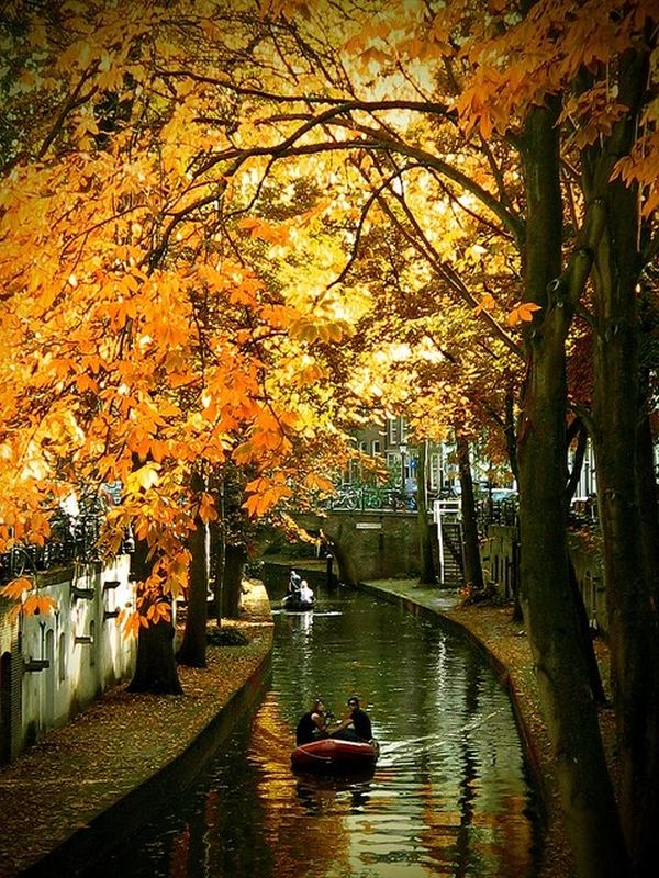 Moody autumn scene