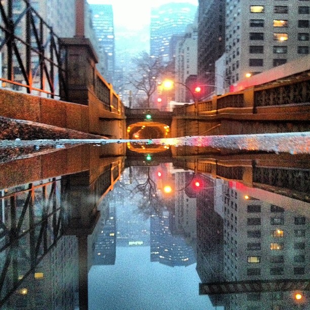 City lights in puddle vtechvisual