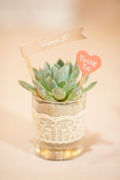 11 Plant