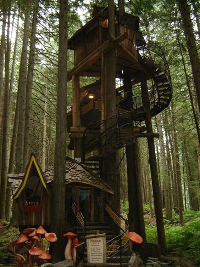 Tree house with wraparound deck