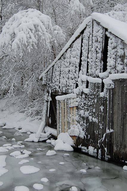 Winter gallery photograph