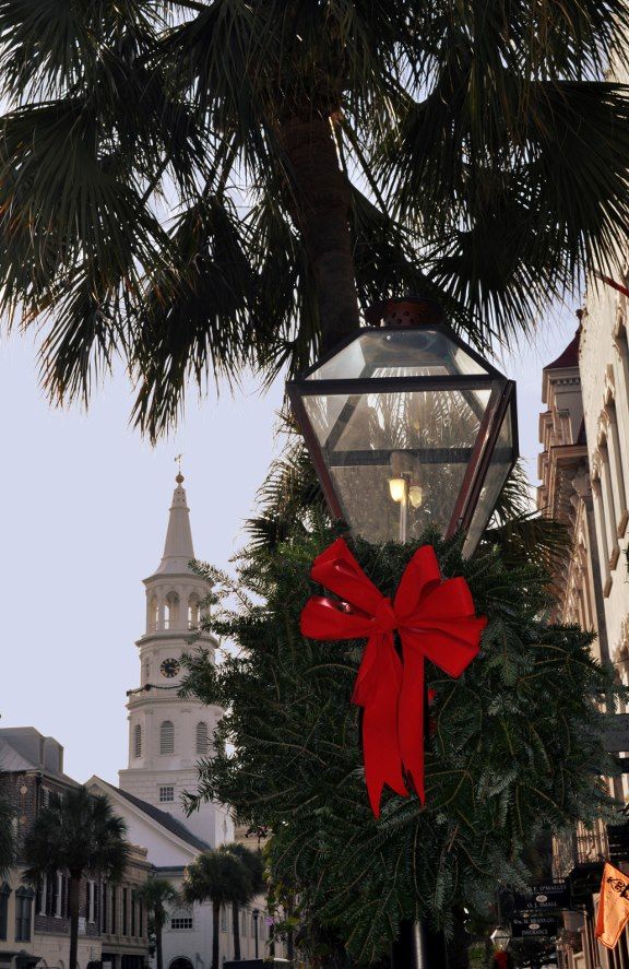 Festive presents under the tree