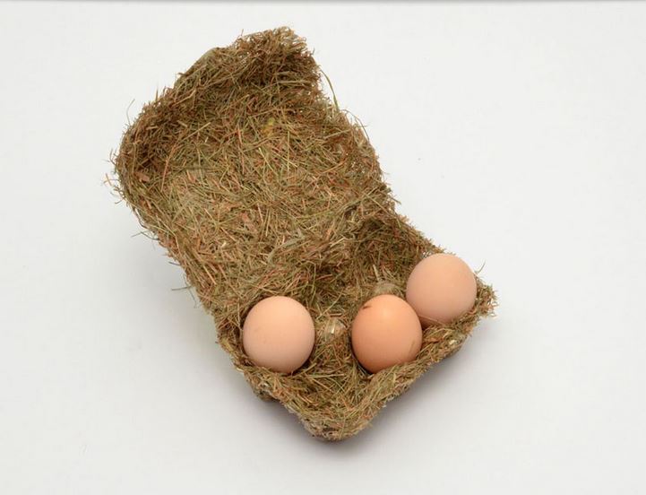 Egg carton molded from hay and straw holding brown eggs