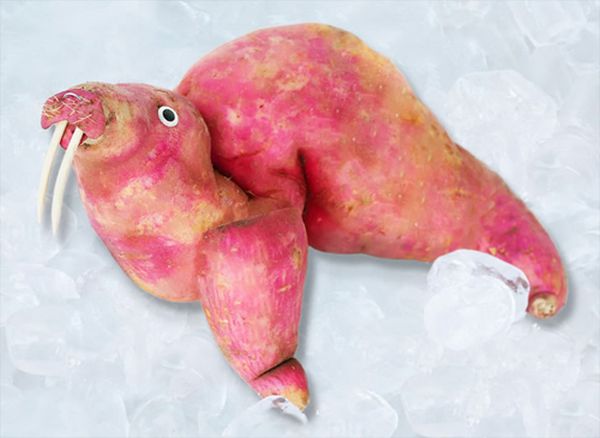 Playful produce photography Dualib