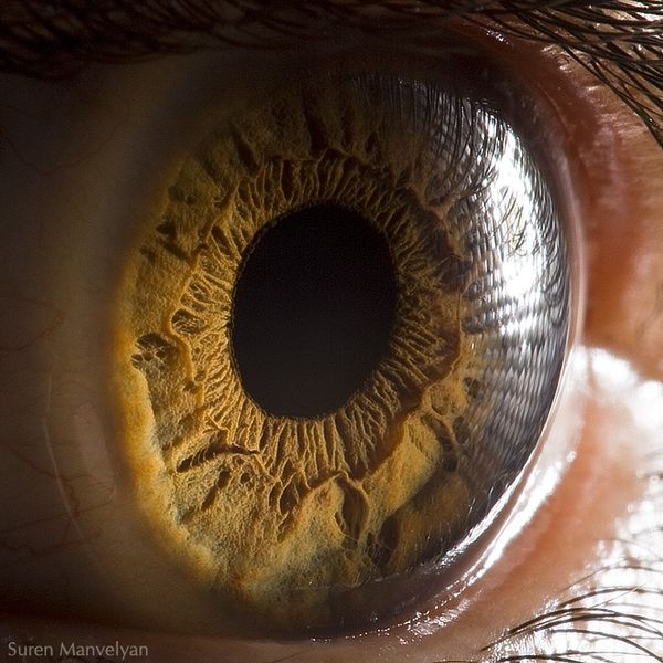 Macro eye photograph from Your Beautiful Eyes series