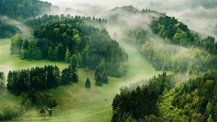 Atmospheric outdoor landscape