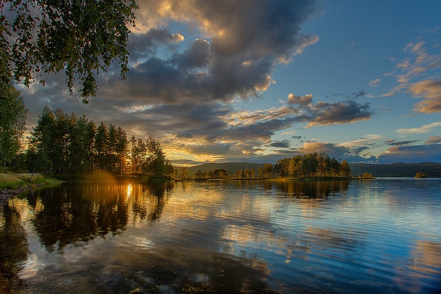 landscape09109