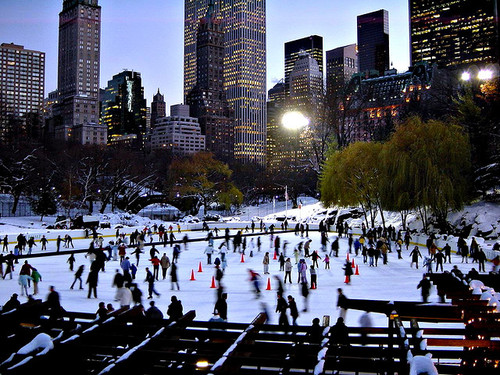 Central Park winter path and trees