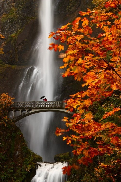 Misty Multnomah Falls, Oregon