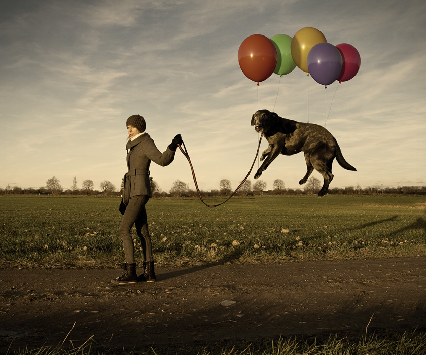 Lazy Dog by Erik Johansson