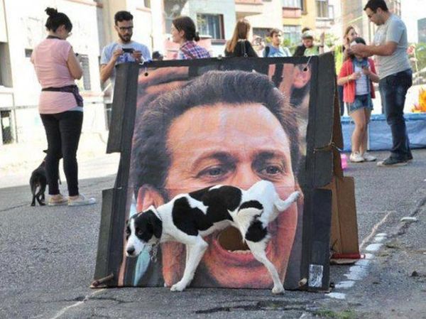 Well-timed humorous photo moment